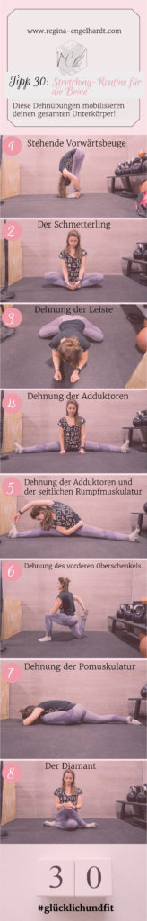 Stretching-Routine für die Beine, den Unterkörper, den Glutens, den Po, die Adduktoren und den Rumpf Stretching-Routine für die BeineStretching-Routine für die Beine, den Unterkörper, den Glutens, den Po, die Adduktoren und den Rumpf