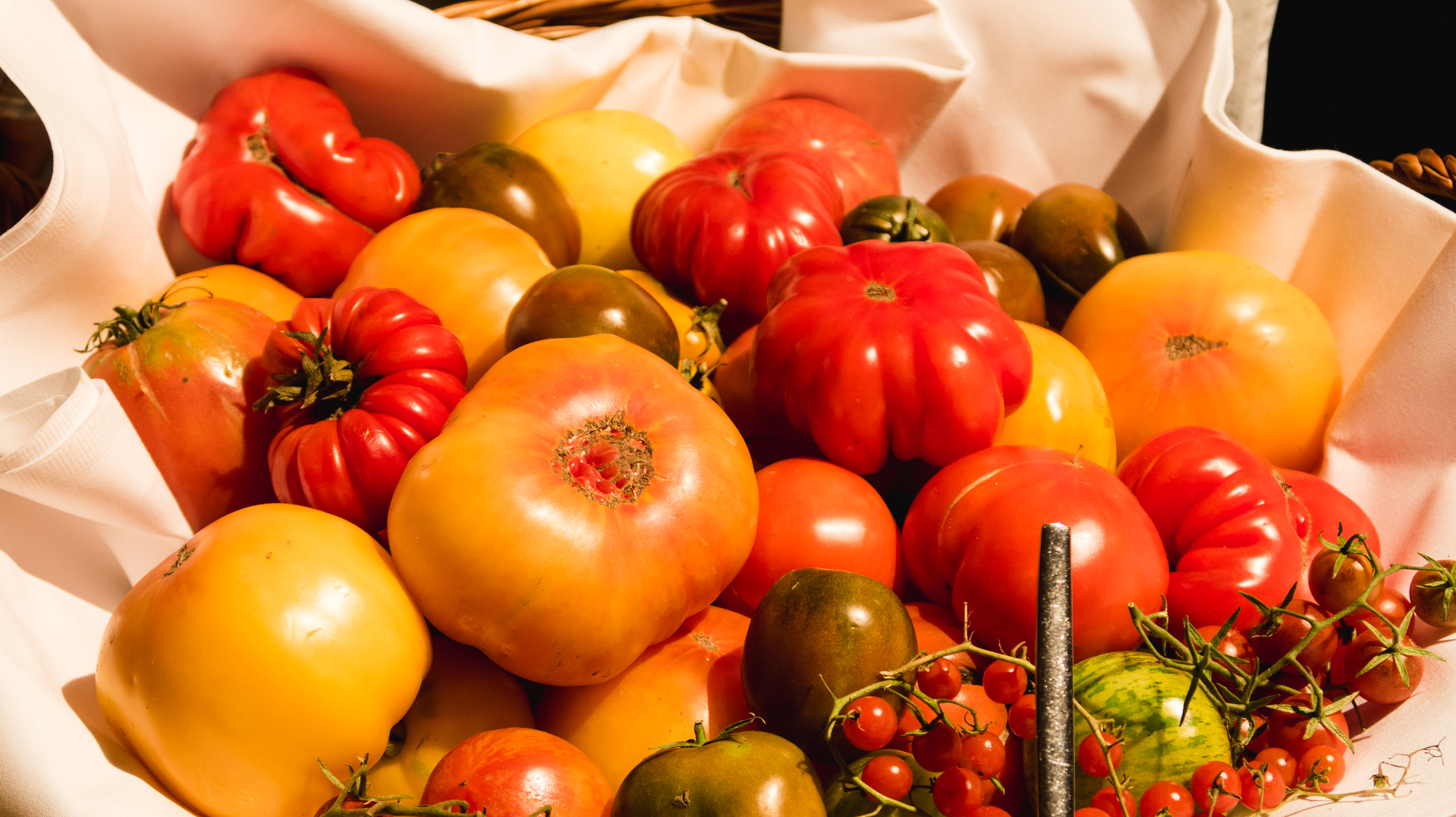 Beates bunte Tomaten