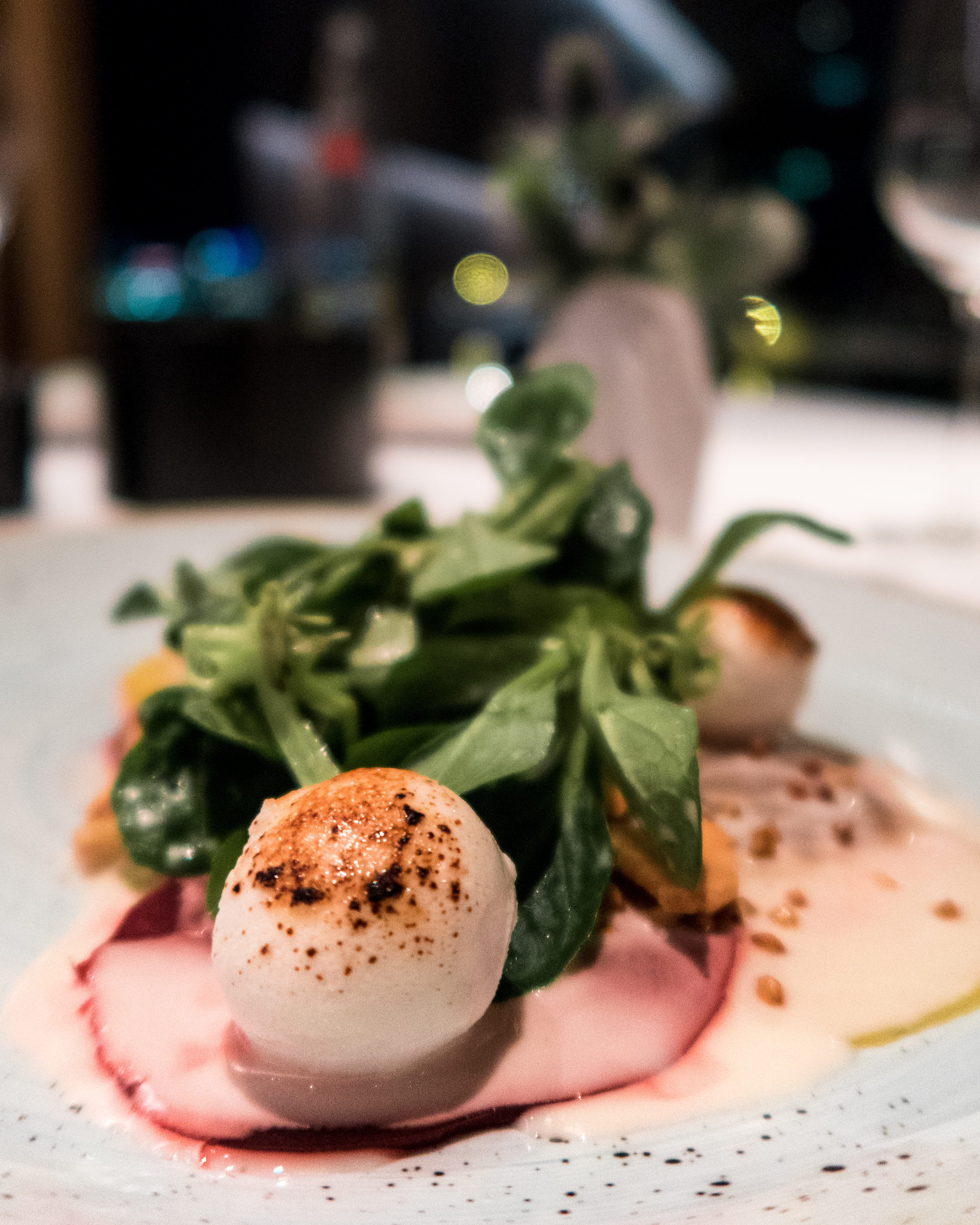 Terra Zwischengang Carpaccio von Roter und Gelber Beete mit Ziegenkäse und Buchweizen